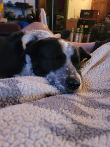 Meet your Posher, Eva